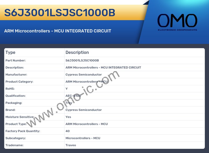 S6J3001LSJSC1000B