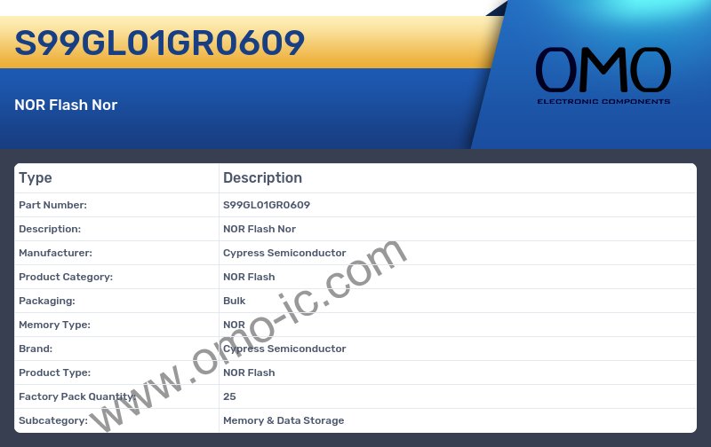 S99GL01GR0609