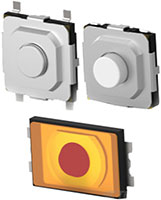 LPT Series Switches